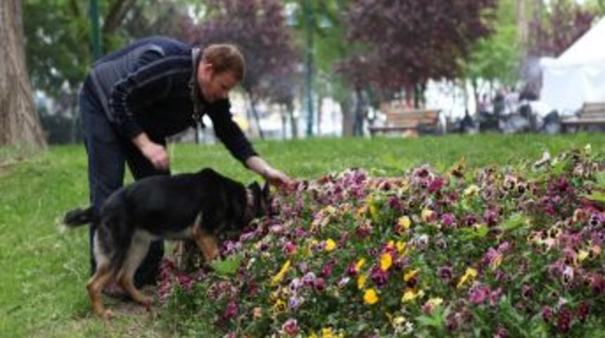 Polis Taksim'i didik didik aradı