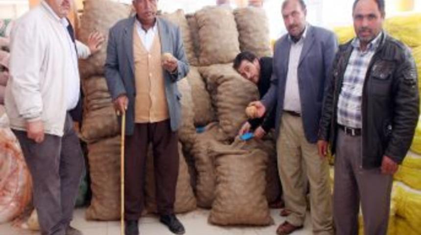 Ahlat'ta Sertifikalı Patates &Uuml;retiliyor