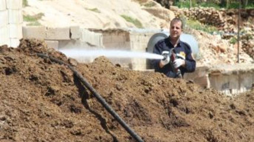 Şanlıurfa Belediyesi sinek ve fare avına &ccedil;ıktı