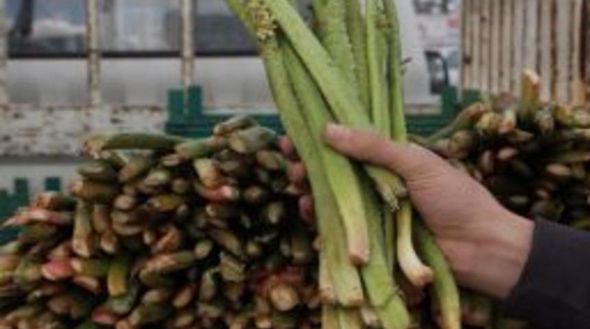 U&ccedil;kun Tezgahtaki Yerini Aldı