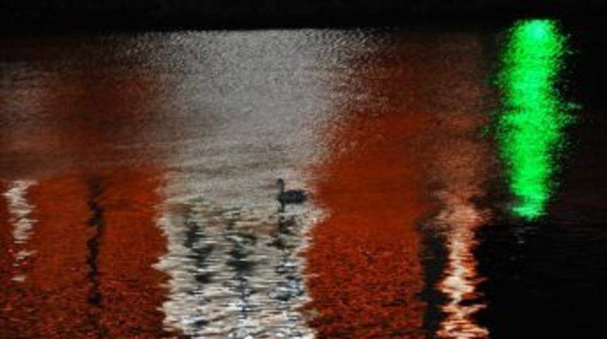 Yakamozda Yalnız Bir Kuğu