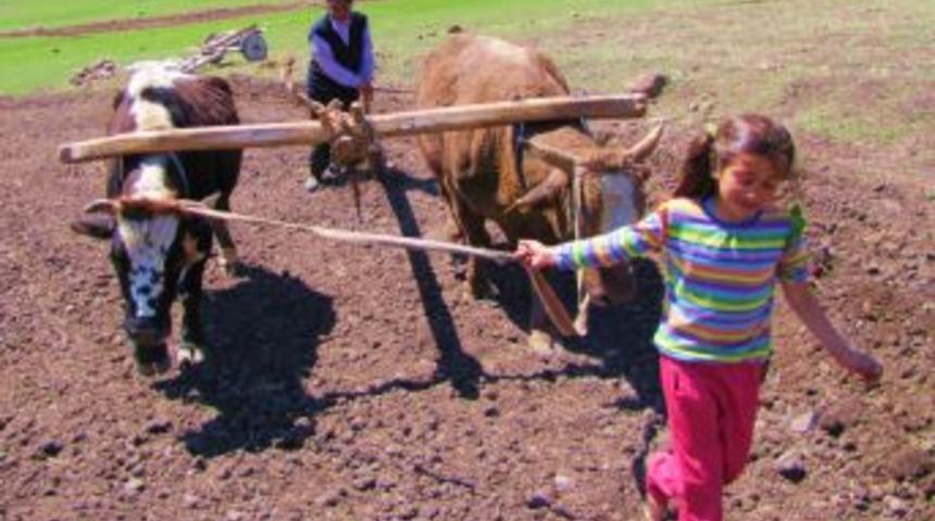&Ccedil;ift&ccedil;i İlkel Metota D&ouml;nd&uuml;