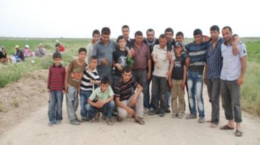 Silifkeli &Ccedil;ift&ccedil;ilerin Yol İsyanı