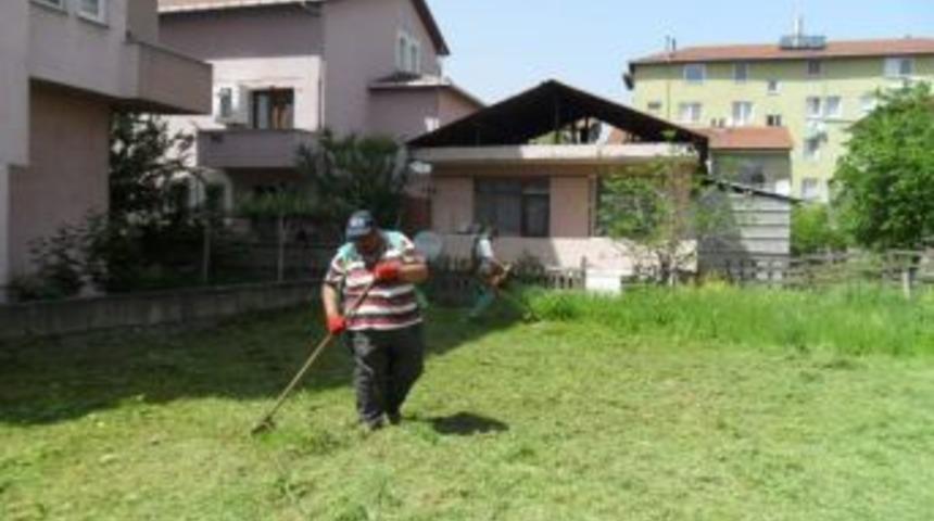 İzmit Belediyesi'nde Ot Temizliği İçin Özel Ekip Oluşturuldu