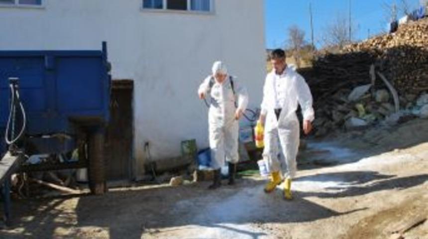 Şap Dolayısıyla Pazarlar Karantina Altına Alındı