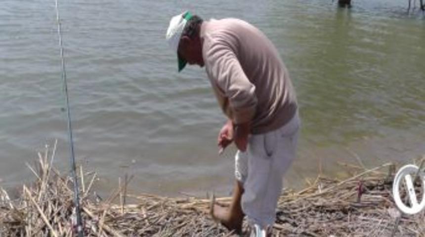 Oltaya Takılan Sazanları G&ouml;le Bırakıyorlar