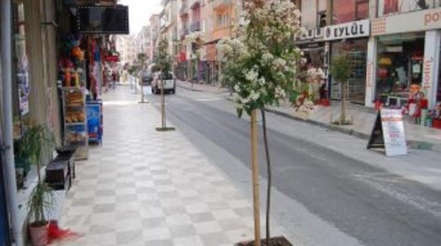 Eski Pazar Caddesi Ağa&ccedil;landırıldı