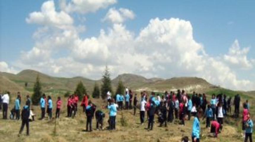 Gonca dergisi okuru minikler fidan dikti