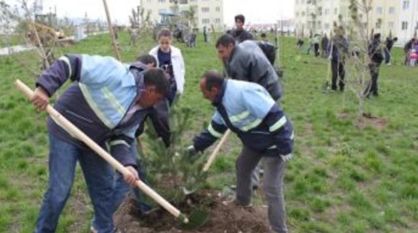 Paland&ouml;ken, yeşile b&uuml;r&uuml;n&uuml;yor