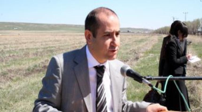 Kars'ta Yetiştirme Yurdu &Ouml;ğrencileri Fidan Dikti