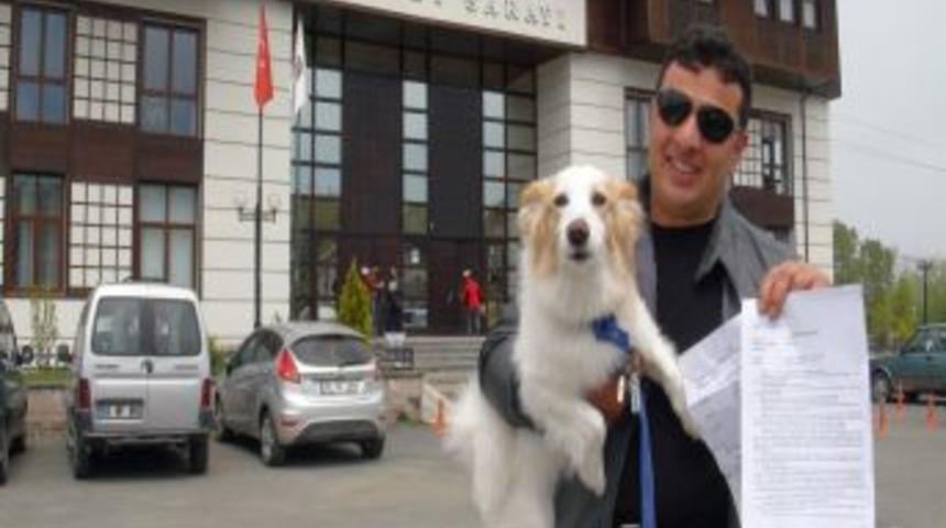 Rize'de K&ouml;pek Mahkemelik Oldu