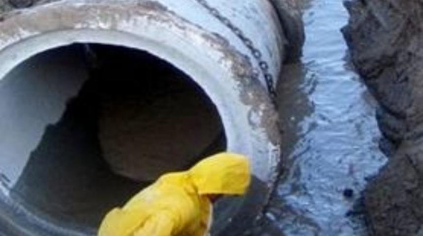 Başkandan bir kazık daha