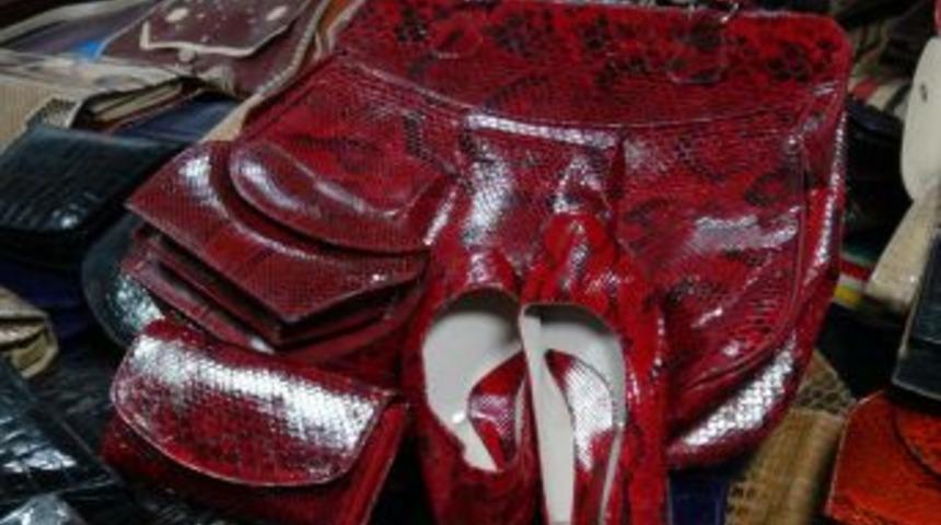 Timsah ve yılan derisinden eşyalar g&uuml;mr&uuml;ğe takıldı