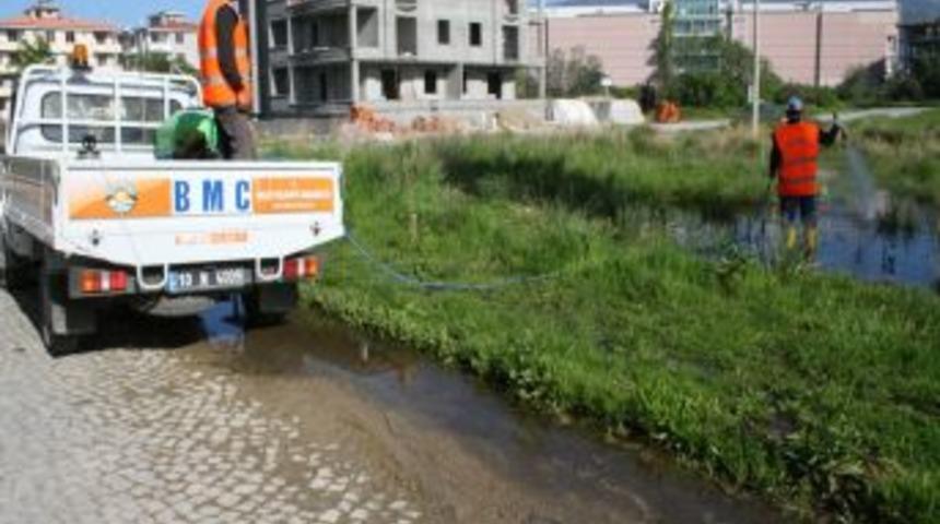 Ak&ccedil;ay Belediyesi sinekle m&uuml;cadeleye başladı