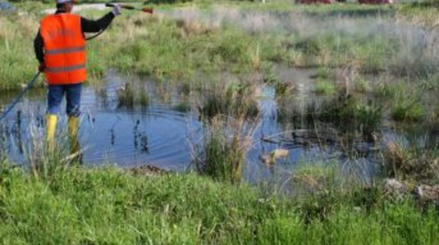 Ak&ccedil;ay'da Sineksiz Yaz İ&ccedil;in 3. Etap İla&ccedil;la M&uuml;cadele Başladı