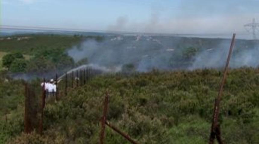 Tuzla'daki orman yangını korkuttu