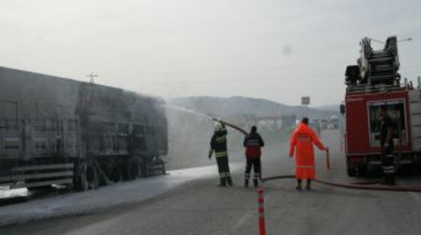 Balataları ısınan TIR'da yangın &ccedil;ıktı