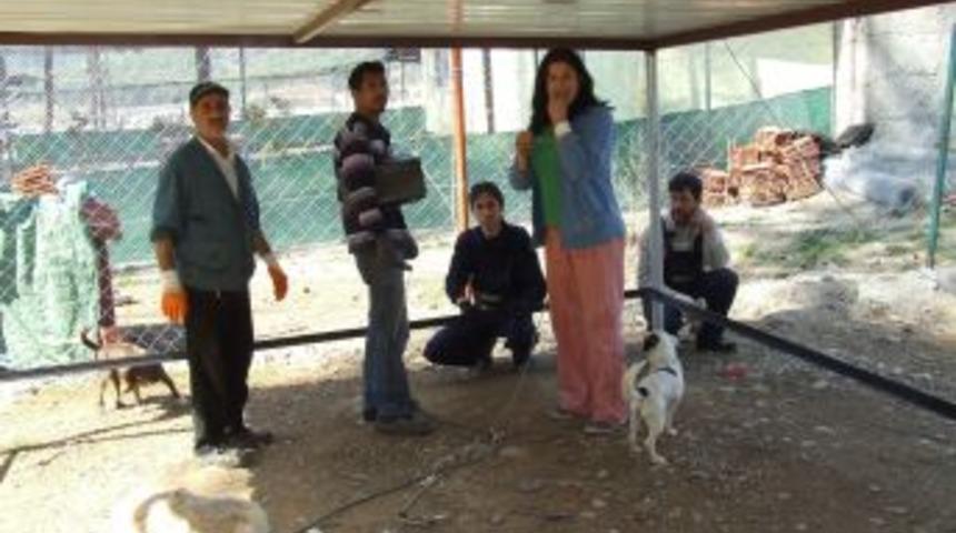 Hayvan Barınağında Sorunlar &Ccedil;&ouml;z&uuml;ld&uuml;