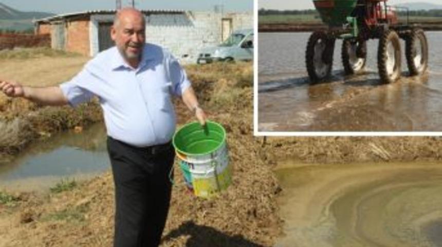 Keşan'da &ccedil;eltik ekimi başladı