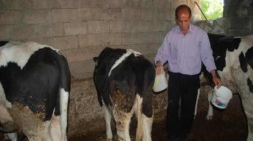 Suriye sınırındaki yedieminler, &uuml;cretleri tahsil edememekten şikayet&ccedil;i