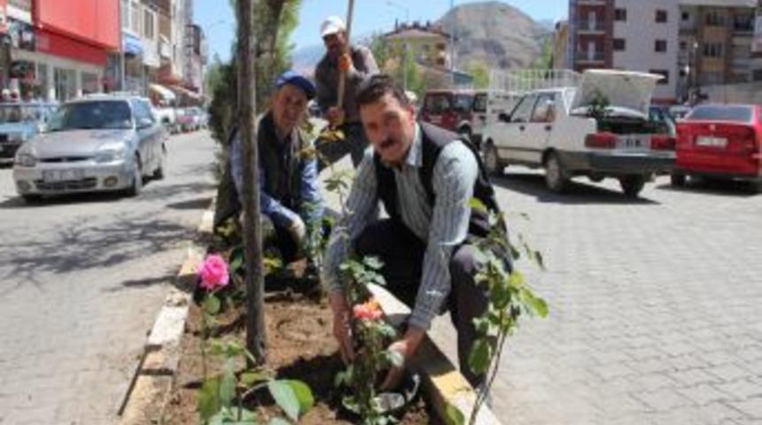 Oltu Belediyesi Bin Fidan Bin 500 G&uuml;l Dikti