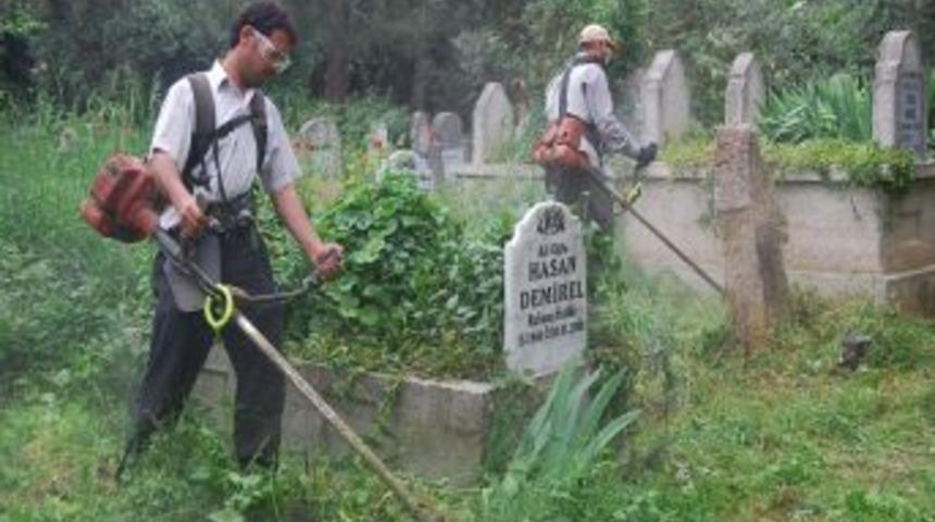 Mezarlıkta bahar temizliği