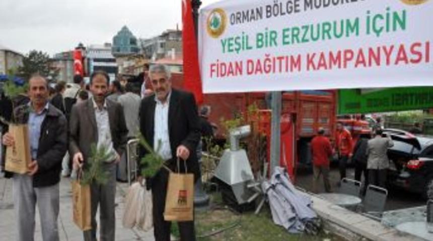 Erzurum'da 20 bin &ccedil;am fidanı dağıtılacak