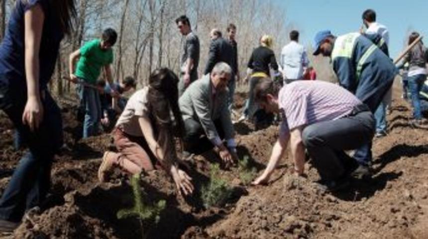 Kimya M&uuml;hendisliği &Ouml;ğrencileri Bin Fidan Dikti
