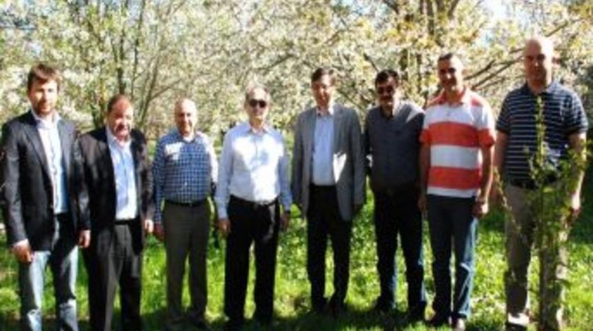 Milletvekili Soner Aksoy, Pazarlar, Şaphane Ve Simav İl&ccedil;elerinde İncelemelerde Bulundu