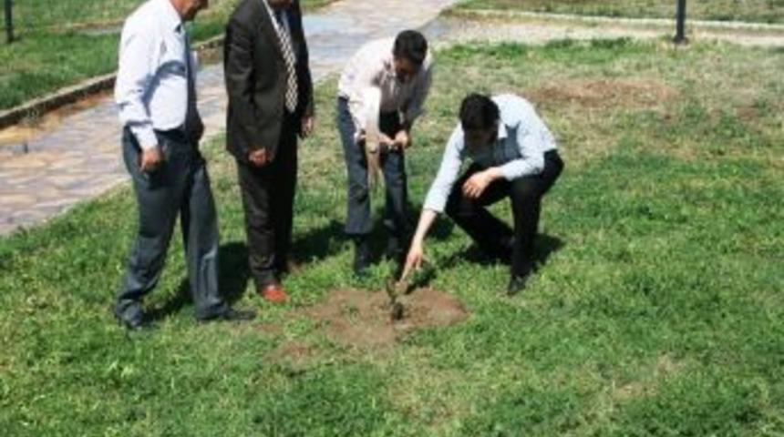 Iğdır İl K&uuml;lt&uuml;r Ve Turizm M&uuml;d&uuml;rl&uuml;ğ&uuml; Kılı&ccedil;lar Anıt'ına Fidan Dikti