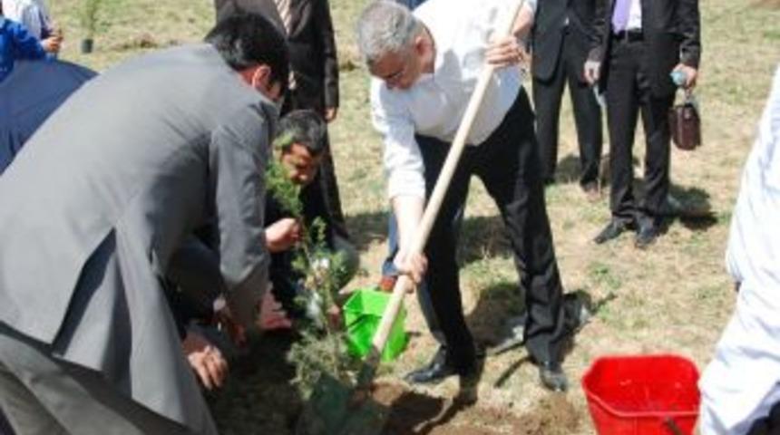 K&ouml;y okulu &ouml;ğrencileri, Patnos Devlet Hastanesi bah&ccedil;esine fidan dikti
