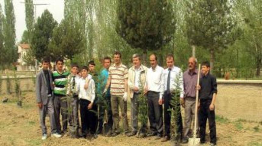 Sarıkayalı hayırsever işadamı bin 200 adet &ccedil;am fidanı dağıttı