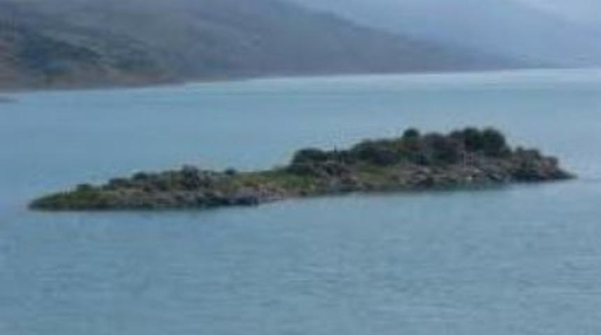 Gen&ccedil; liderler Finlandiya yolcusu