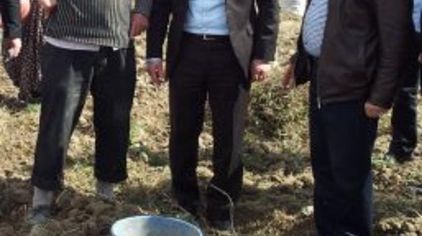 Don afeti mağduru patates&ccedil;ilere nakdi destek