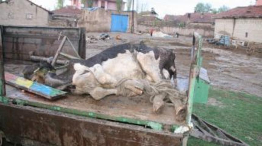 Yozgat&rsquo;ta sel suları 10 bin dekar ekili tarım alanına zarar verdi