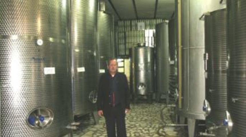 Zeytin ağa&ccedil;ları &ccedil;i&ccedil;eğe durdu