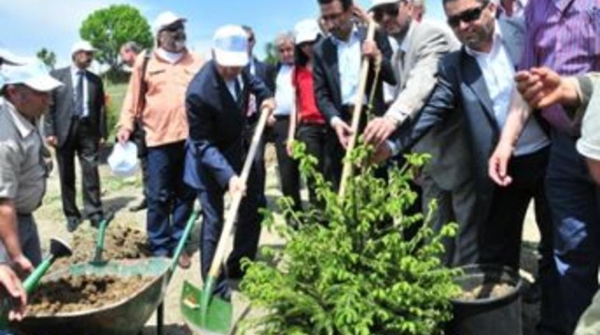 Yerel Gazetecilere hatıra ormanı