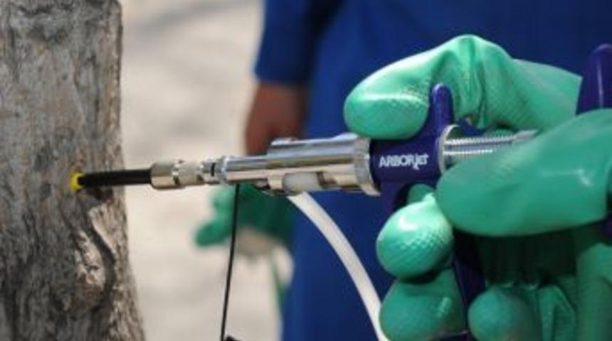 Ağa&ccedil;lara enjeksiyonlu koruma