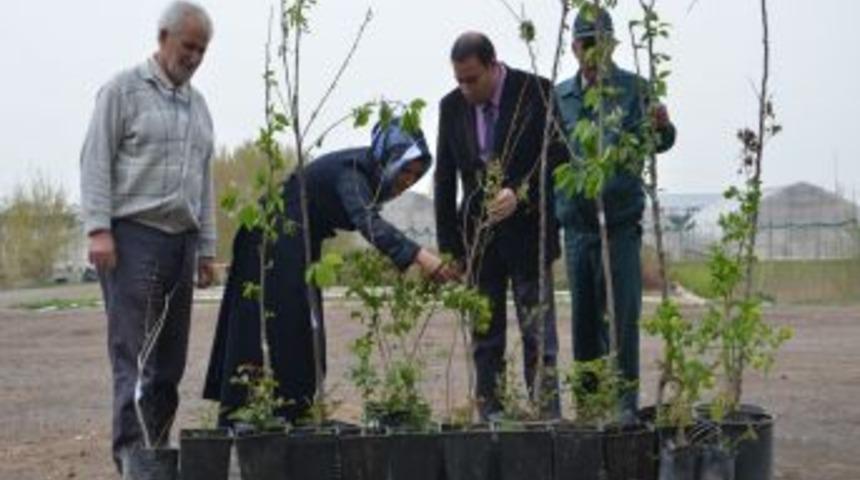 Bakan Eroğlu'na Twitter'dan attığı mesajla memleketine 20 bin fidan aldı