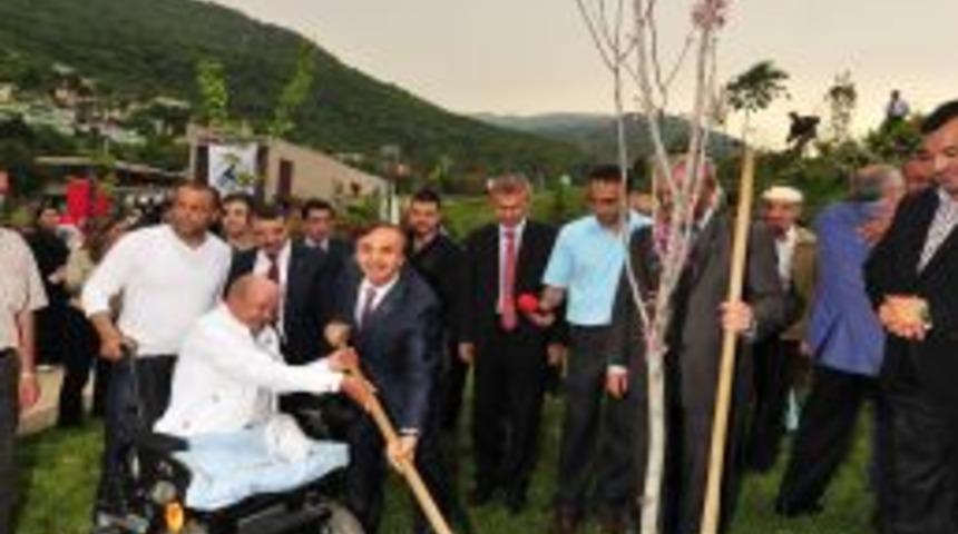 Yıldırım&rsquo;da erguvan &ccedil;i&ccedil;ekleri a&ccedil;tı