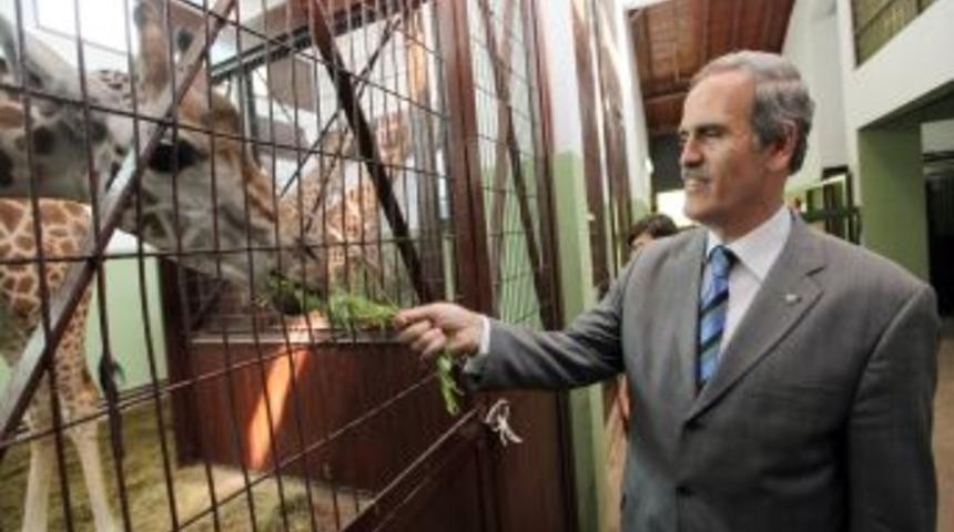 Bursa'nın 14 yıldır beklediği z&uuml;rafalar Danimarka'dan geldi