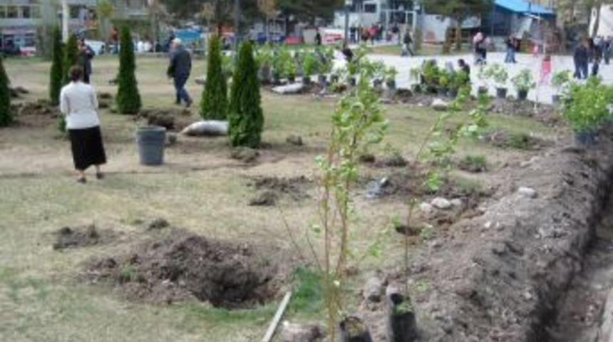 Kent Meydanı'na 4 bin fidan dikiliyor