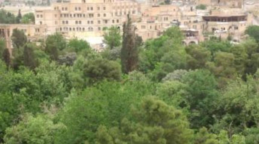 Yeşil ve Urfa’daki Mardin