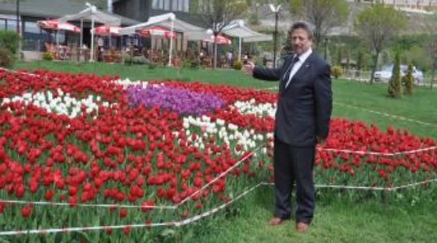 Yozgat&rsquo;ta a&ccedil;an 120 bin lale soğanı şehri, park ve bah&ccedil;eleri s&uuml;sledi