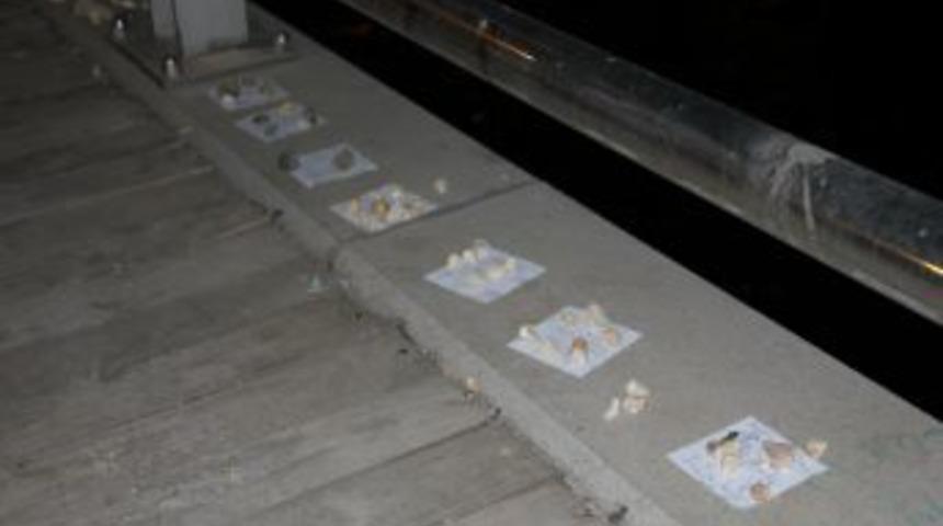 Dileklerini Asi Nehri'nin taşlarına yazdılar