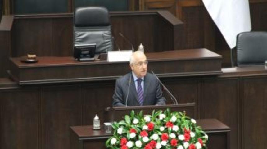 &Ccedil;i&ccedil;ek: &Uuml;lkenin yararına olup olmayacağına yargı değil, Meclis karar verir