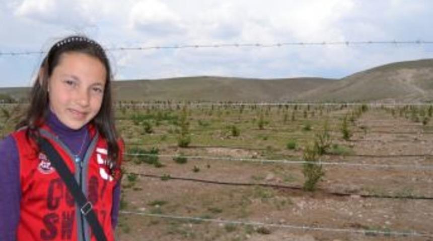 Konya Şeker, İnsuyu kasabasına fidan dikti