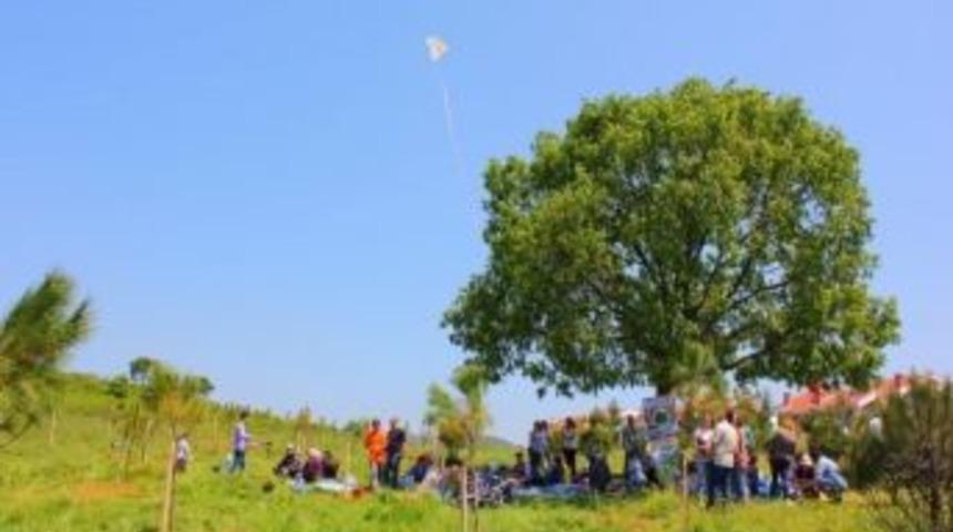 İş adamları ve &ouml;ğrenciler ağa&ccedil; dikti