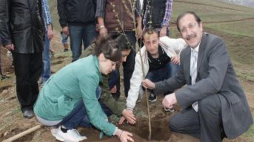 Başkan Bulutlar, Gen&ccedil;lerle Birlikte Fidan Dikti...