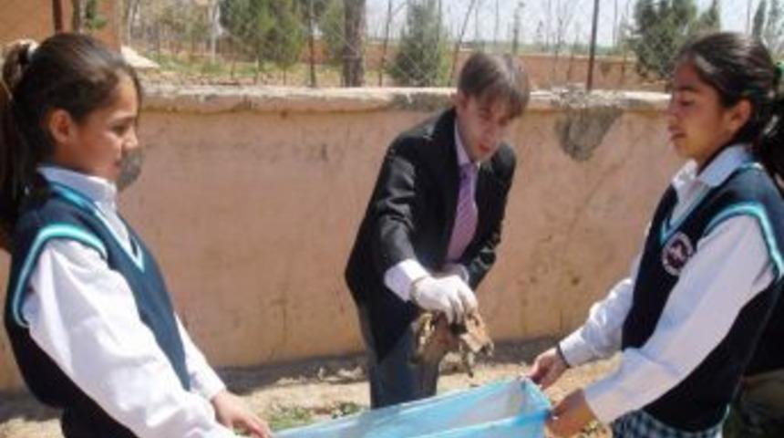 &Ouml;ğretmen Ve &Ouml;ğrenciler &Ccedil;evreyi Temizledi